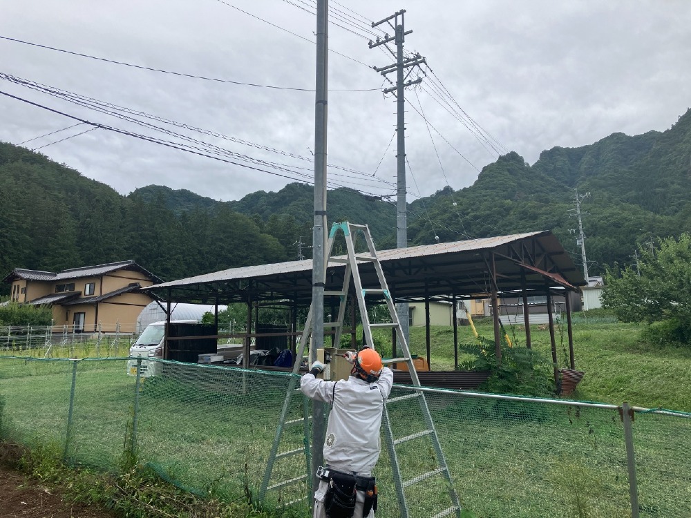 電気工事　仮設電柱撤去