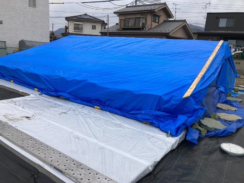 雨養生