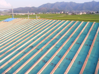 屋根通気野縁