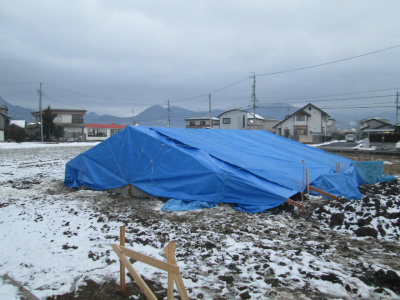養生