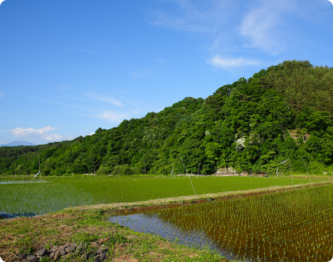 信州上田の気候風土に合っていること