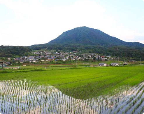 地元の気候風土を良く知っていることが第一条件